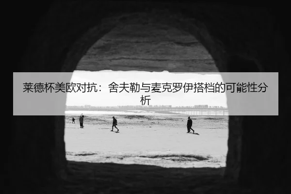 莱德杯美欧对抗：舍夫勒与麦克罗伊搭档的可能性分析