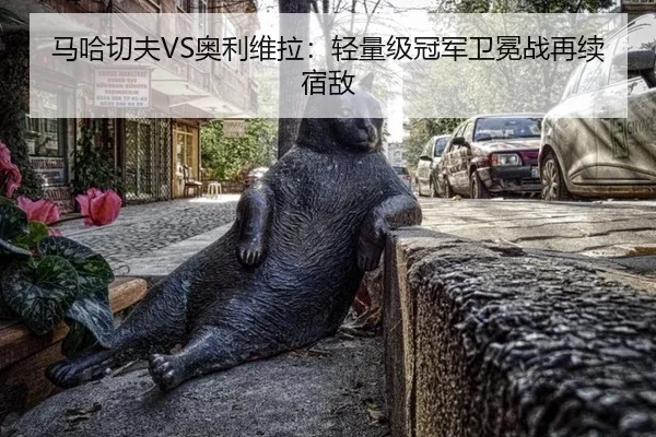 马哈切夫VS奥利维拉：轻量级冠军卫冕战再续宿敌